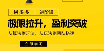 拼多多进阶课《极限拉升/盈利突破》从算法到玩法到团队搭建-渡漳网