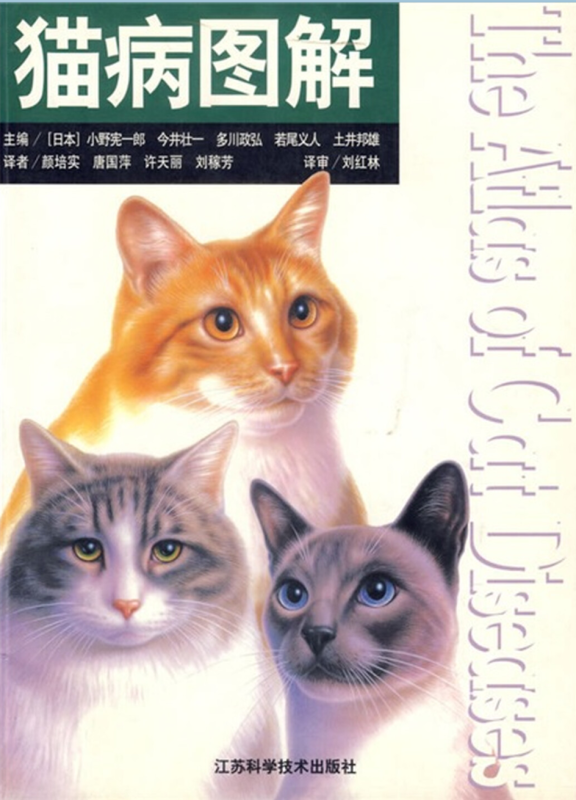 猫病图解-渡漳网