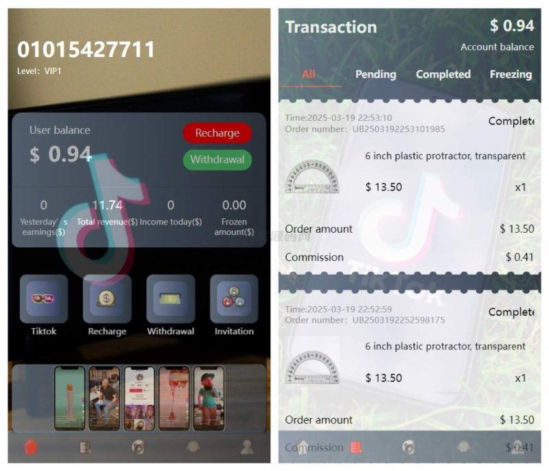 新版本海外tiktok多语言抢单系统源码/带文本搭建教程-渡漳网