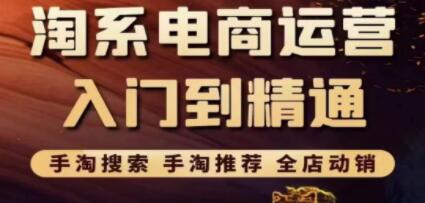 《淘系电商入门到精通》手淘搜索,手淘推荐,全店动销-渡漳网