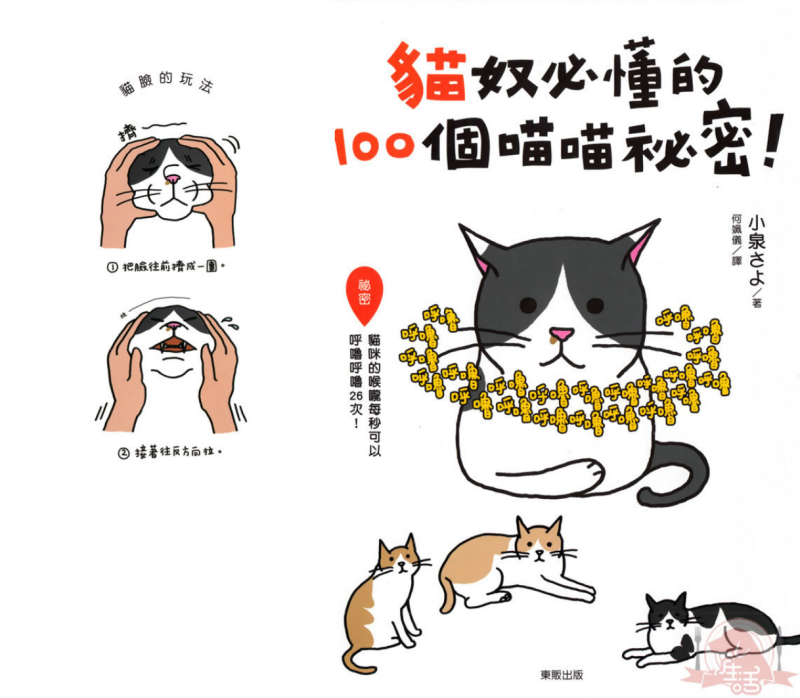 猫奴必懂的100个喵喵秘密-渡漳网