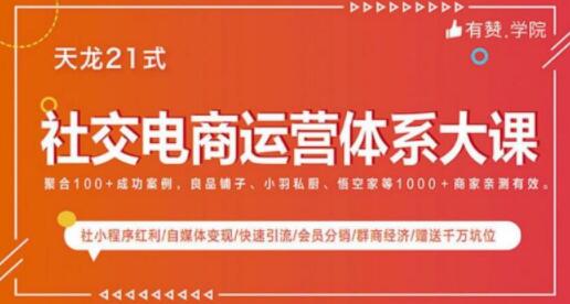 社交电商运营课程，实体新零售拉新留存转化即学即用-渡漳网