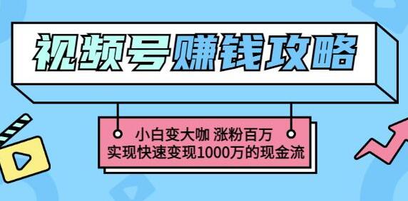 《玩转微信视频号赚钱》小白变大咖涨粉百万,实现快速变现-渡漳网