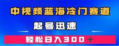 《中视频蓝海冷门赛道》韩国视频奇闻解说,起号迅速,收益不错-渡漳网
