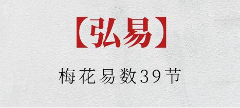 弘易《梅花易数》-渡漳网