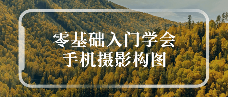 零基础入门学会手机摄影构图-渡漳网