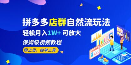 《拼多多店群自然流玩法》月入1W+ 保姆级视频教程-渡漳网