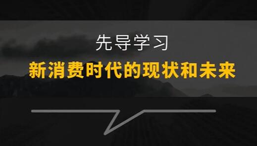 王岑3.0《新消费品牌增长方法与案例》视频课程-渡漳网