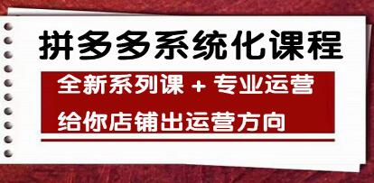 《拼多多系统化课程》全新系列课+专业运营,给你店铺出运营方向-渡漳网