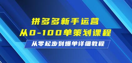 《拼多多新手运营从0-100单策划课程》从零起步到爆单详细教程-渡漳网
