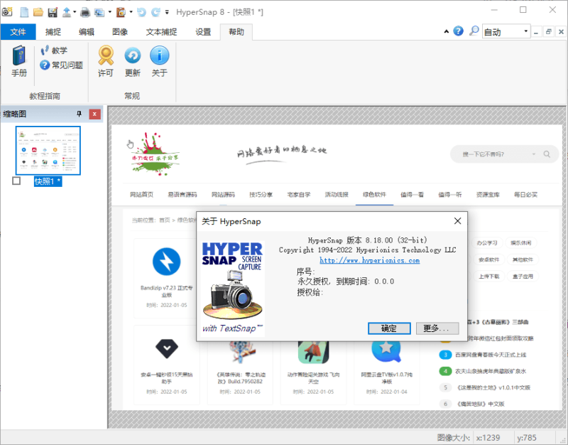 HyperSnap v10.1.2便携汉化版-渡漳网