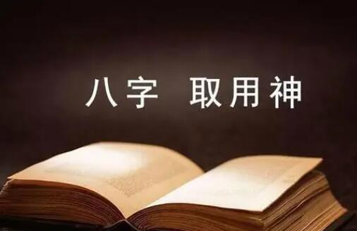 京南道人高徒易尘《旺衰取用》13集视频-渡漳网