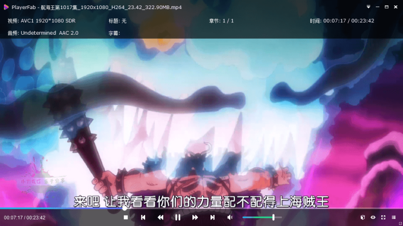 DVDFab Player 7.0.5.4中文版-渡漳网