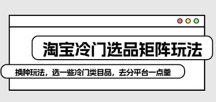 《淘宝冷门选品矩阵玩法》选一些冷门类目品，去分平台一点羹-渡漳网