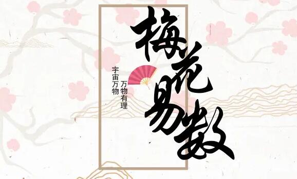 易小生《梅花易数》直播课程视频13集-渡漳网
