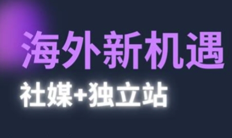 海外新机遇(社媒+独立站),实现独立站的高效运营-渡漳网