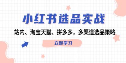 《小红书选品实战》站内、淘宝天猫、拼多多，多渠道选品策略-渡漳网