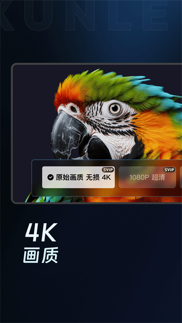 迅雷影音手机版