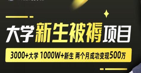 《大学新生被褥蓝海项目》两个月变现500万，从0~1项目陪跑训练营-渡漳网