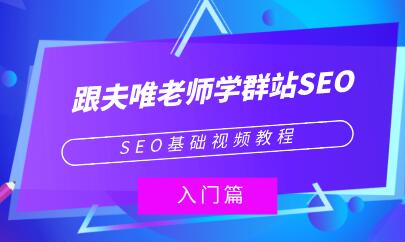 夫唯《群站seo优化教程视频》SEO基础视频教程-渡漳网