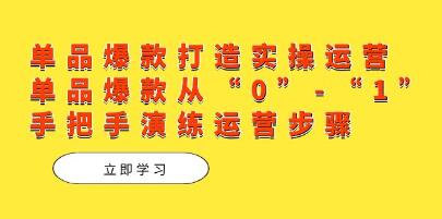 《拼多多单品爆款打造实操运营》单品爆款从0-1演练运营步骤-渡漳网