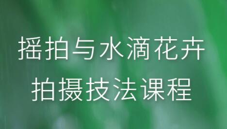 摇拍与水滴花卉拍摄技术技巧教程视频-渡漳网