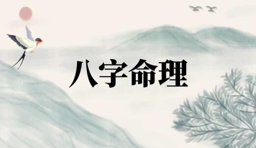 左林《八字命理实战》视频课程18集-渡漳网
