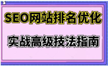 樊天华《SEO网站排名优化》实战高级技法指南-渡漳网