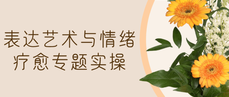 表达艺术与情绪疗愈专题实操-渡漳网