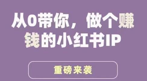谢无敌《小红书运营培训班》从0带你做个赚钱的小红书IP-渡漳网