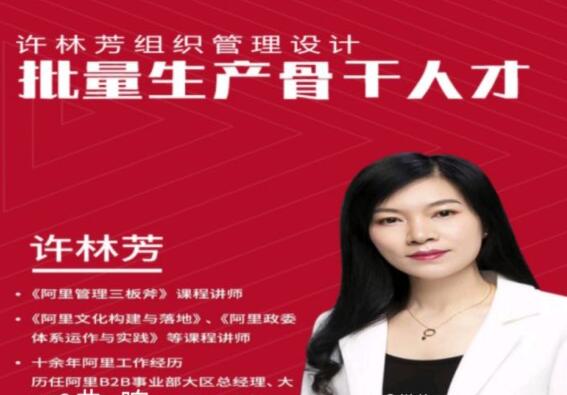 许林芳《批量生产骨干人才》组织管理设计课程视频-渡漳网