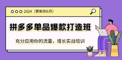 《拼多多单品爆款打造班》充分应用你的流量,增长实战培训-渡漳网