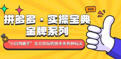 《拼多多实操宝典》金牌系列“小白到高手”带你全方位玩转拼多多各种玩法-渡漳网