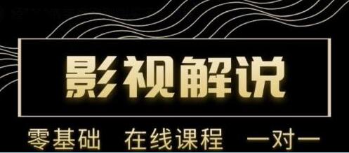 野草追剧《影视解说陪跑训练营》从新手进阶到成熟自媒体达人-渡漳网