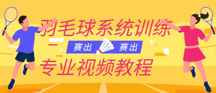 羽毛球教学视频《羽毛球系统训练专业视频教程》-渡漳网