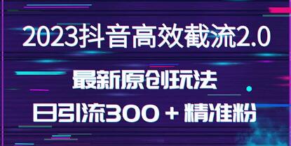 《抖音高效截流2.0玩法》日引300+创业粉-渡漳网
