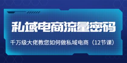 《私域电商流量密码》千万级大佬教您如何做私域电商-渡漳网