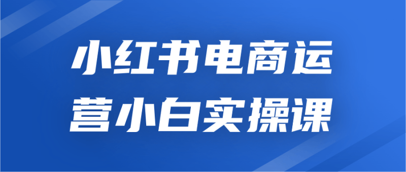 小红书电商运营小白实操课-渡漳网