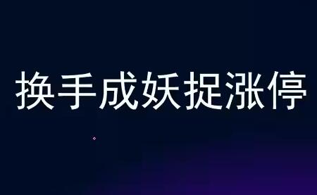 炒股教程《换手成妖捉涨停》牛散专属-渡漳网