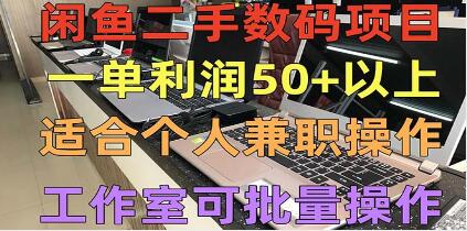 《闲鱼二手数码项目》个人副业低保收入一单50+以上，工作室批量放大操作-渡漳网