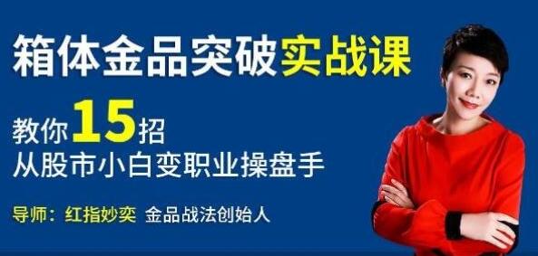 如何炒股?股市实战课程视频,从小白到职业操盘手-渡漳网