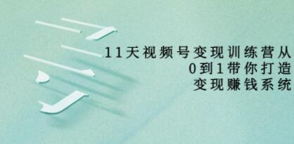 好望角《11天视频号变现训练营》从0到1打造变现赚钱系统-渡漳网