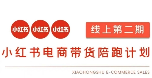 小红书电商带货课，有货源，无货源虚拟产品，付费投流等整套玩法-渡漳网