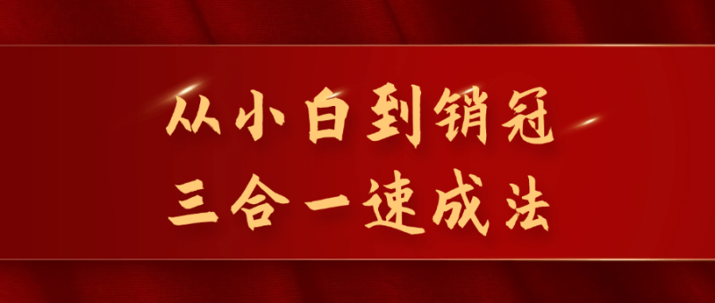 从小白到销冠三合一速成法-渡漳网
