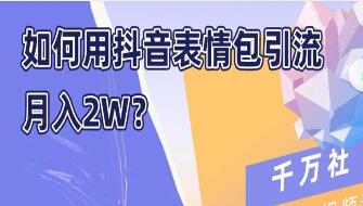 如何用抖音表情包引流，月入2W-渡漳网