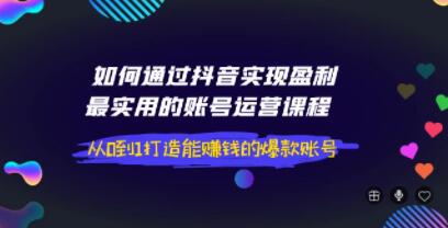 如何通过抖音实现盈利《最实用的账号运营课程》从0到1打造能赚钱的爆款账号-渡漳网