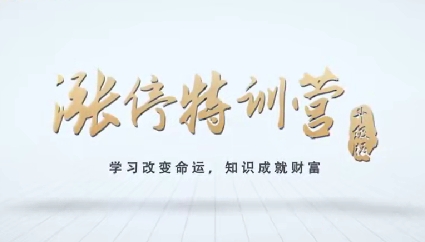 猎人X的道友圈子-涨停特训营精品课-渡漳网