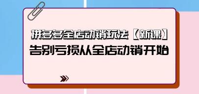 《拼多多全店动销玩法》告别亏损从全店动销开始-渡漳网