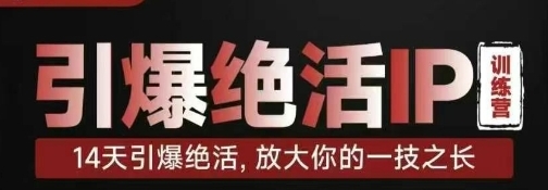 引爆绝活IP训练营,14天引爆绝活,放大你的一技之长-渡漳网