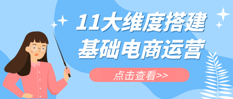 11大维度搭建基础电商运营-渡漳网